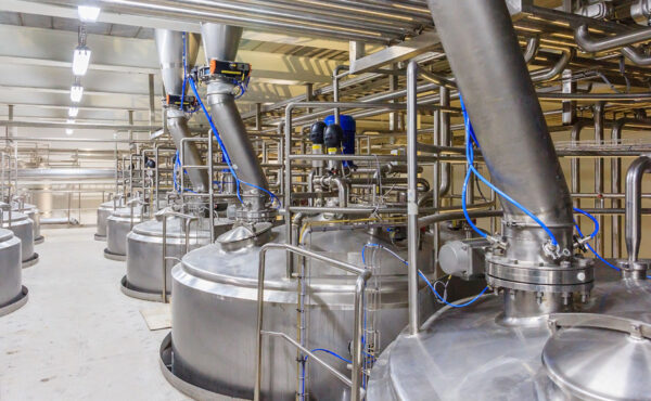 Consequat duis Consequat duis