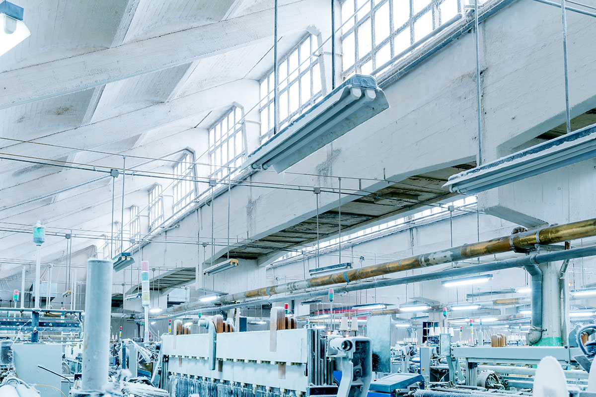 Vistrud exerci Vistrud exerci