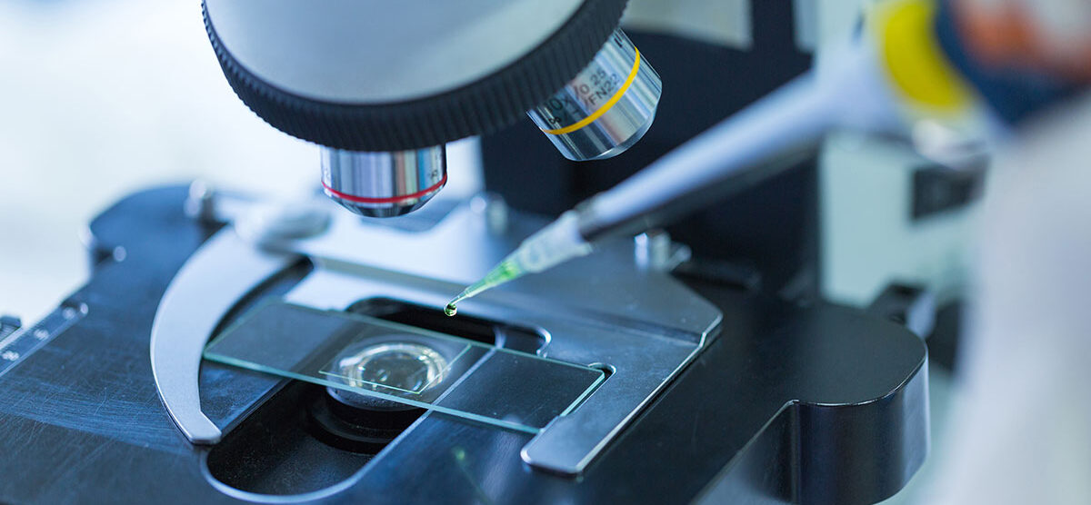 Nostrud exerci Nostrud exerci