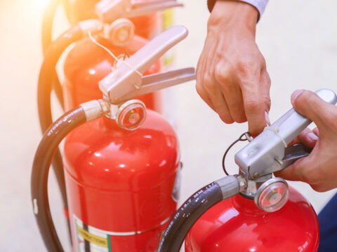 Vulputate velit Vulputate velit